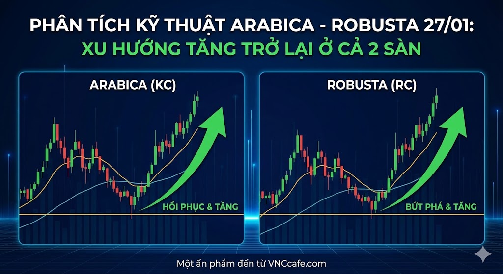 Phân tích kỹ thuật Arabica - Robusta 27/01: Xu hướng tăng trở lại ở cả 2 sàn
